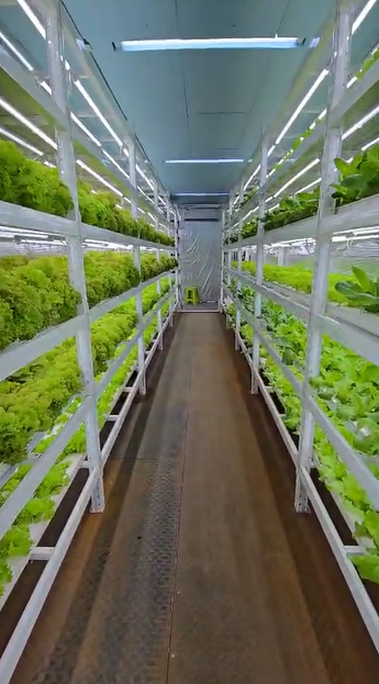 Container Farming  Projects 